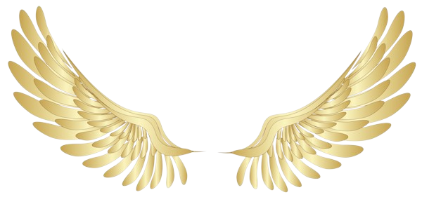 Home 4fb412b79c6177c6388a8005d1ff0f42 removebg preview